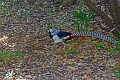 13 04 14_2919_edited-1